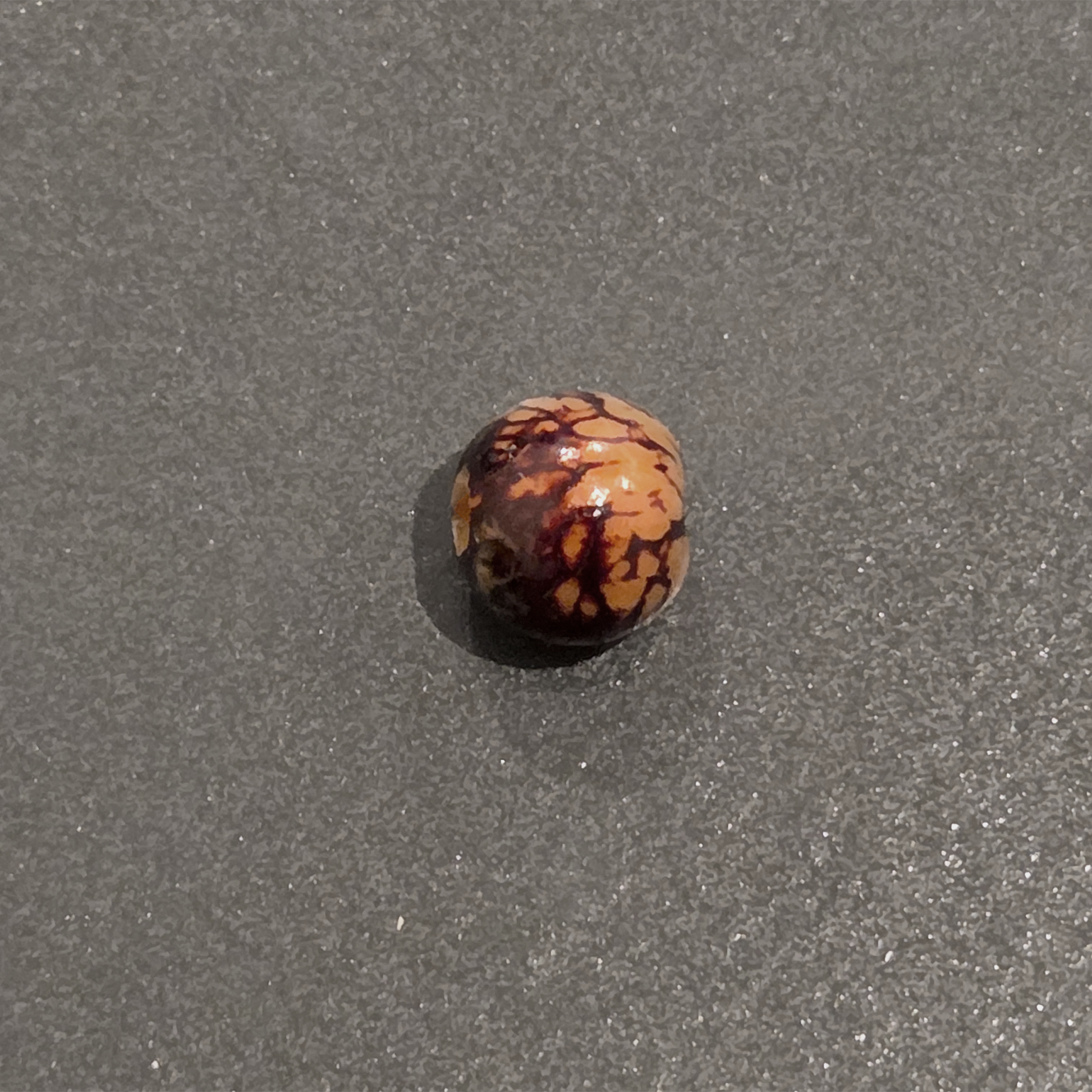 Biopsy/Pathology Complete Bead